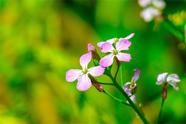 超级教师师德格言